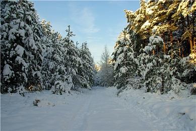 《战地6》将在下周更新 更快获得经验值和解锁配件